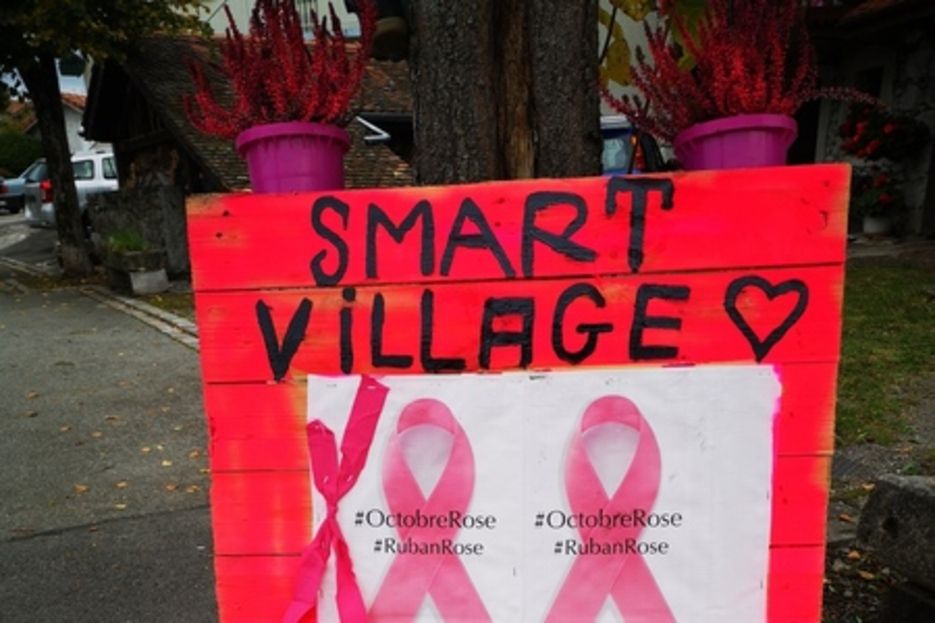 DECORATION EXTERIEURE RUE DES SAVOIE CHAMPANGES